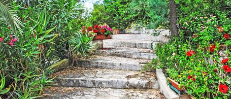 Áreas de la propiedad