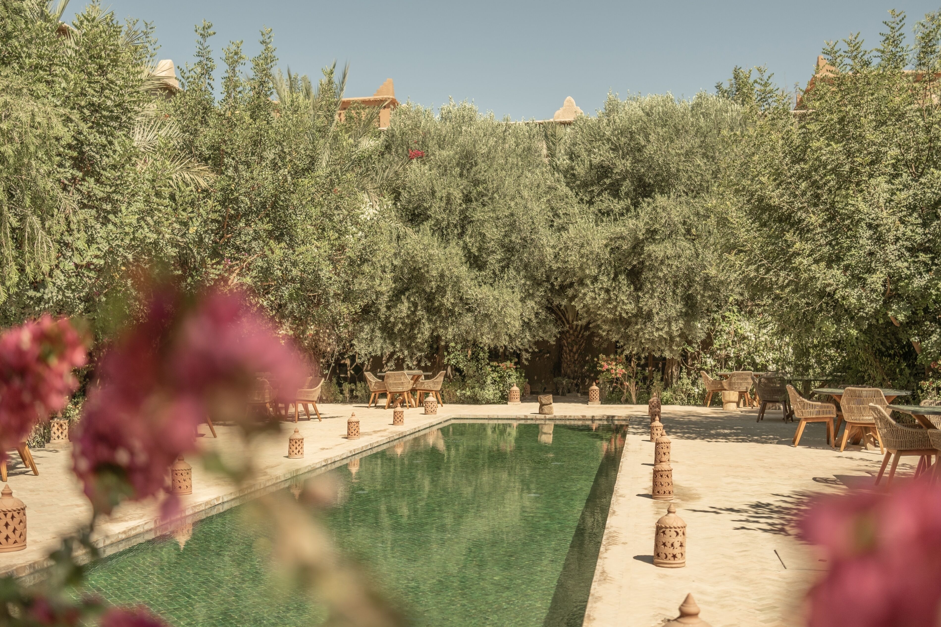 A pool area with clear water, surrounded by lush greenery and wicker furniture.