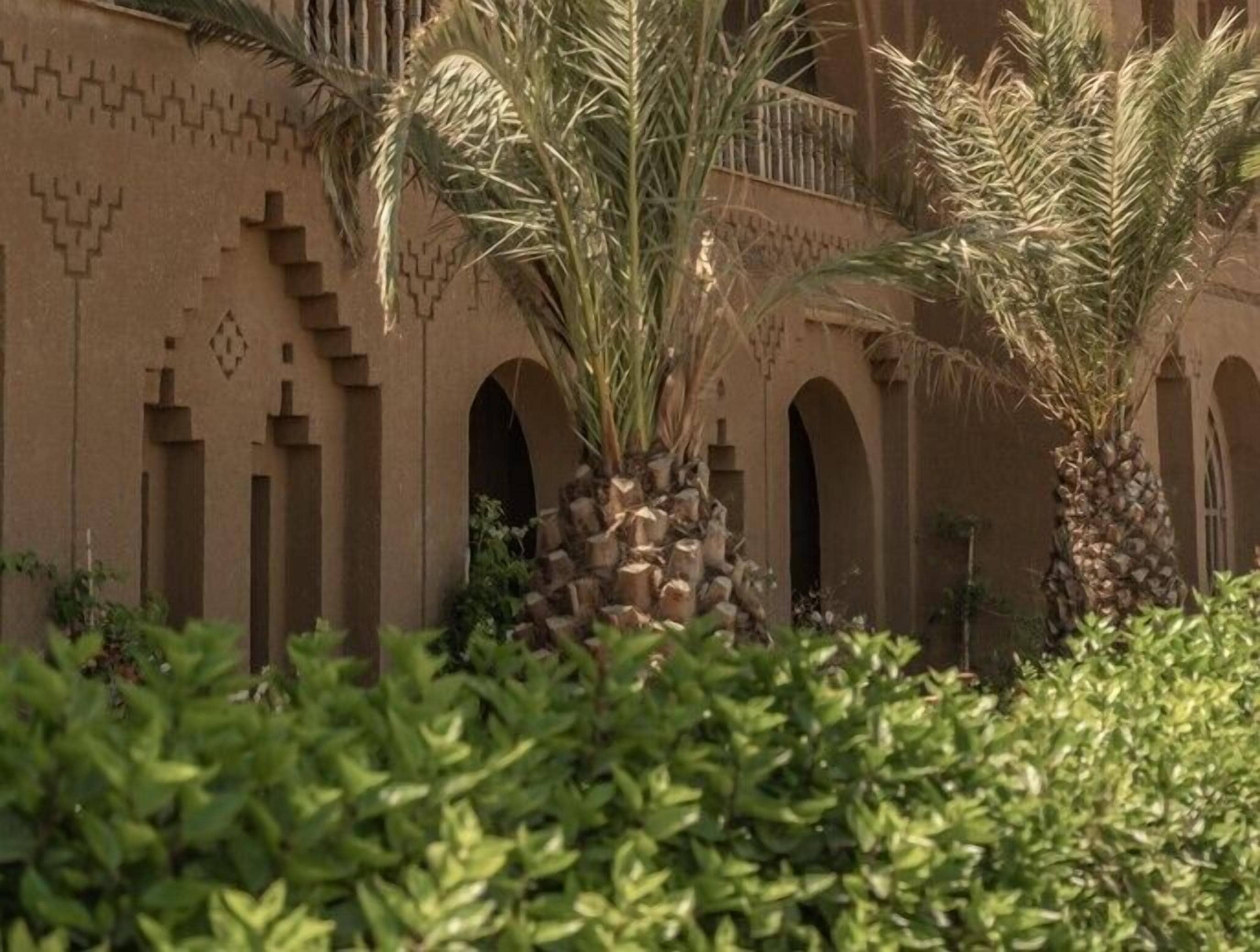 Un patio con palmeras y un edificio con arcos y diseños geométricos.