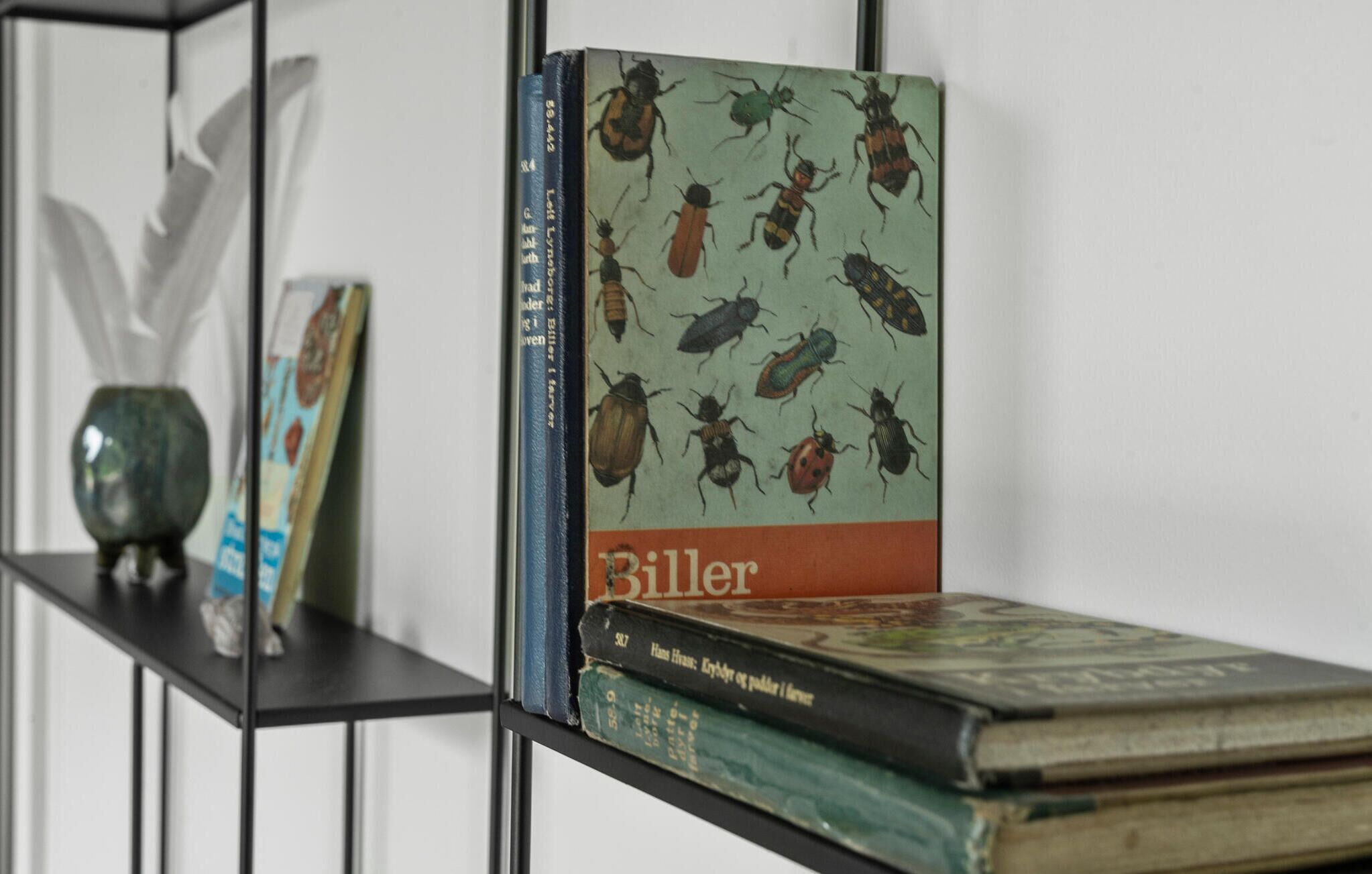 A bookshelf with books, including one titled 'Biller' featuring beetles on the cover.