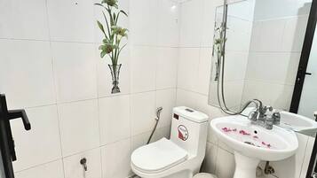 Shower, hydromassage showerhead, designer toiletries, hair dryer