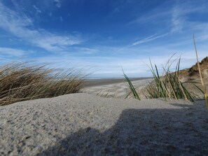 Beach - Apartment for 4 - Sea View near Beach (Fort-Mahon-Plage)