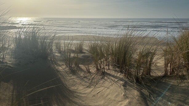 Una spiaggia con dune sabbiose e onde oceaniche.
