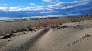Une plage de sable avec une végétation clairsemée et un ciel dégagé.