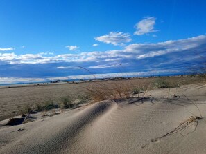 Beach - Apartment with pool, pets allowed, parking, beach in Port Camargue, 4 pers. (Port Camargue)