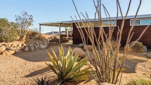A modern house with a covered patio, surrounded by desert plants and a stone wall.