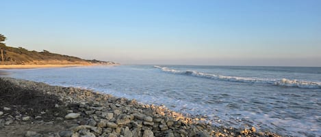 Plage à proximité