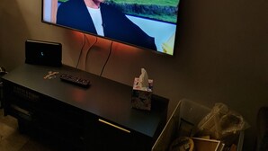 A television mounted on a wall with a decorative branch above it. - Beach house in pembrokeshire with sea views (Freshwater East)
