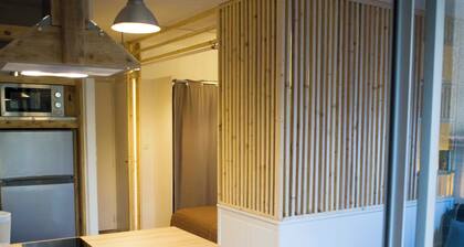 T1 bis with small garden - Barbotan