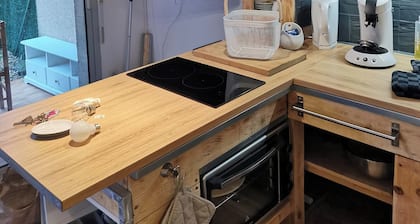 T1 bis with small garden - Barbotan