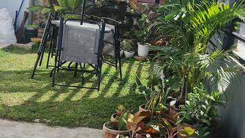 Terras