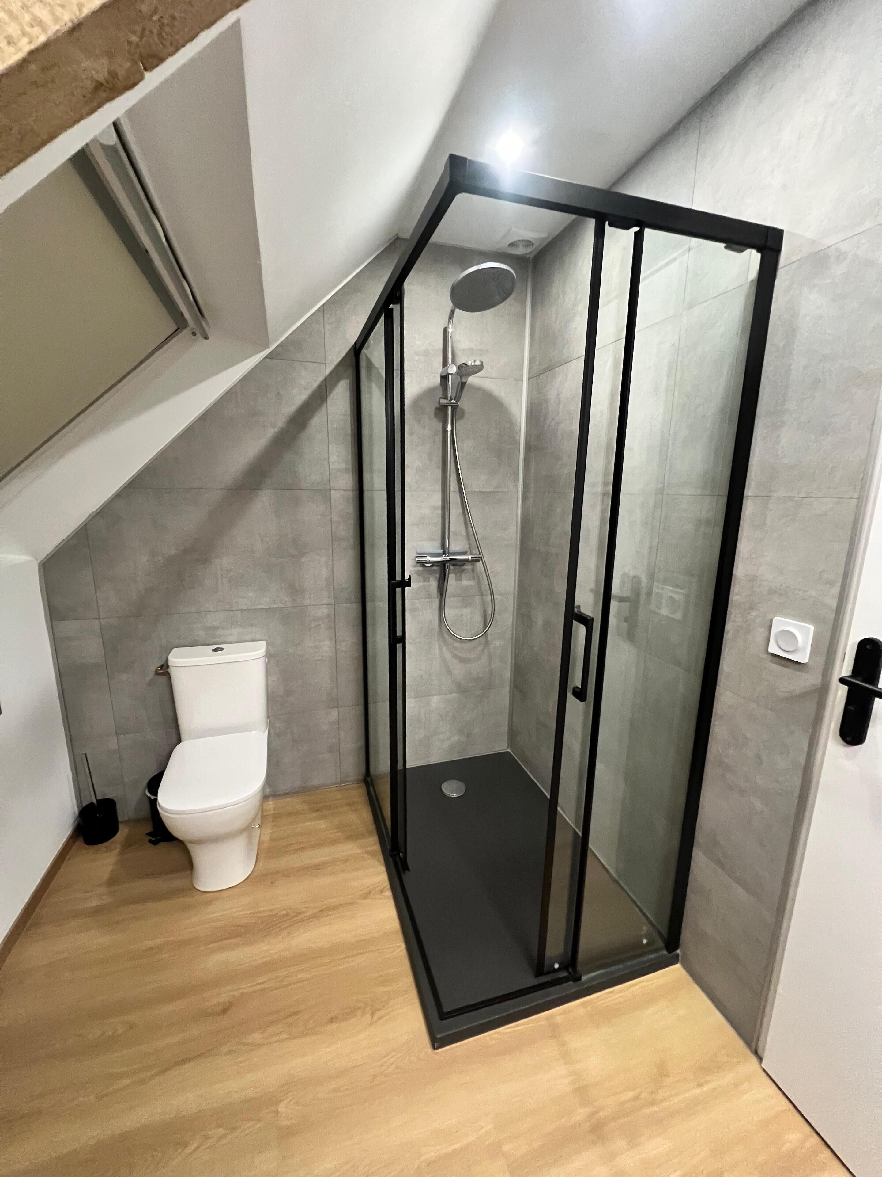 A modern bathroom with a glass-enclosed shower, a toilet, and a wooden floor.