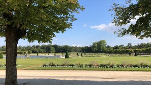 Ein Park mit einem großen Baum, gepflegten Rasenflächen und einem entfernten Gewässer.
