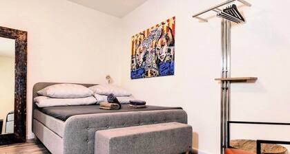 Rheinstream Guesthouse-im Herzen von Basel am Rhein #SelfCheckin#Neu renoviert
