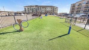A fenced outdoor area with artificial grass, a bone-shaped climbing structure, and a blue exercise ball.