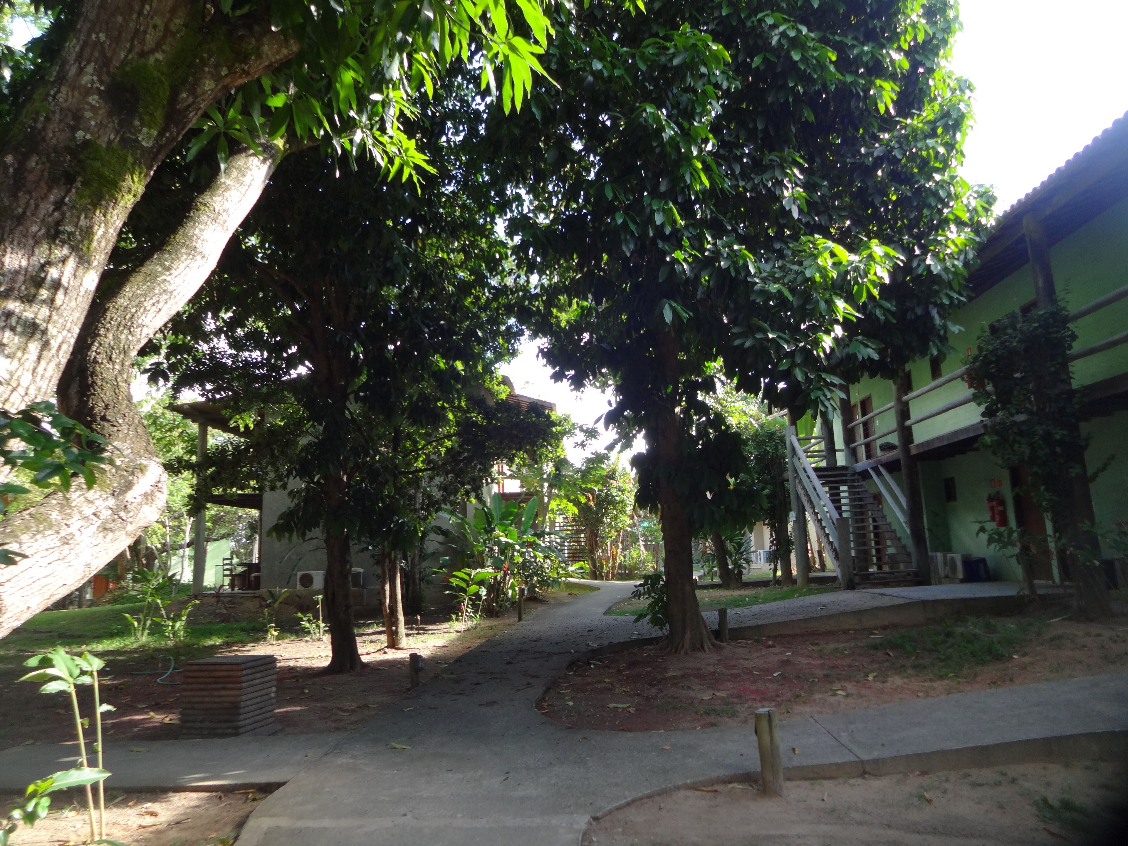 A pathway lined with trees leading to a building with a green exterior and a staircase.
