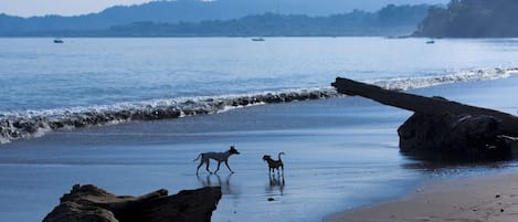 Kamer, 1 slaapkamer, roken, balkon | Uitzicht vanuit accommodatie