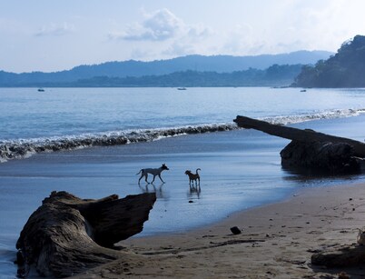 Room-private Family Bungalow