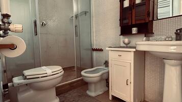 Shower, hair dryer, bidet, towels