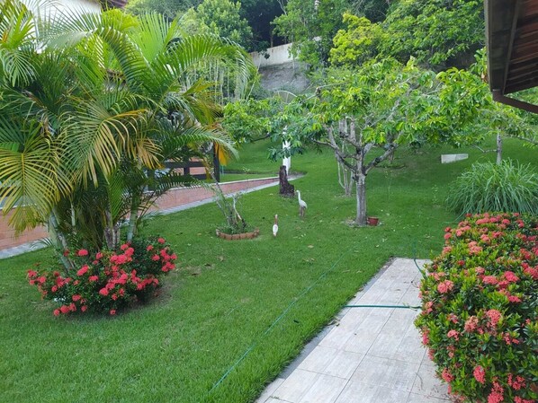 Property grounds
