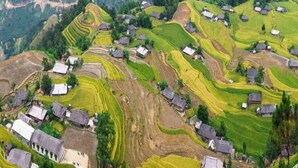 Campos de arroz en terrazas con casas tradicionales.