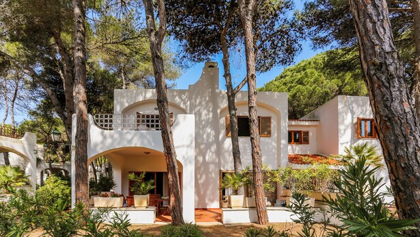 A modern villa with a spacious patio, surrounded by tall trees and potted plants.