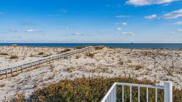 Plage, chaises longues