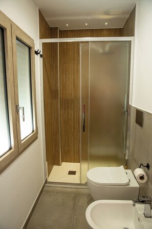 Shower, hair dryer, bidet, towels