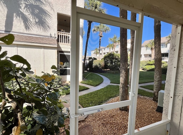 A view through a window of a building with a paved pathway, palm trees, and a well-maintained lawn.