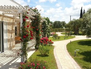 Property grounds - Leralora-Cherry House. Elegant villa with swimming pool, a stone's throw from the sea (Puglia)