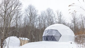 Uma estrutura em forma de cúpula coberta de neve, com uma janela triangular, rodeada por árvores e neve.