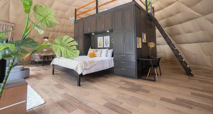 2-story Dome with pool, near Playa Organos beach, Isla Tortuga & Bioluminescence