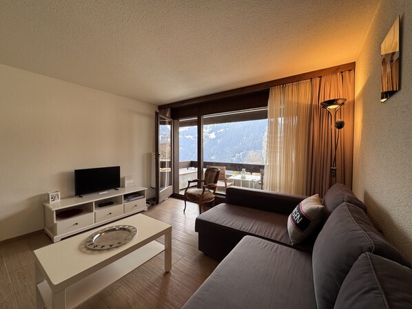 Fernseher, DVD-Player