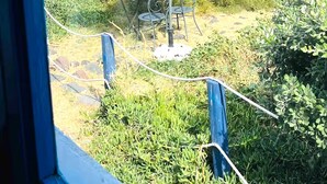 A table with a white umbrella, a metal chair, and a bottle of wine, set against a backdrop of a body of water and greenery.