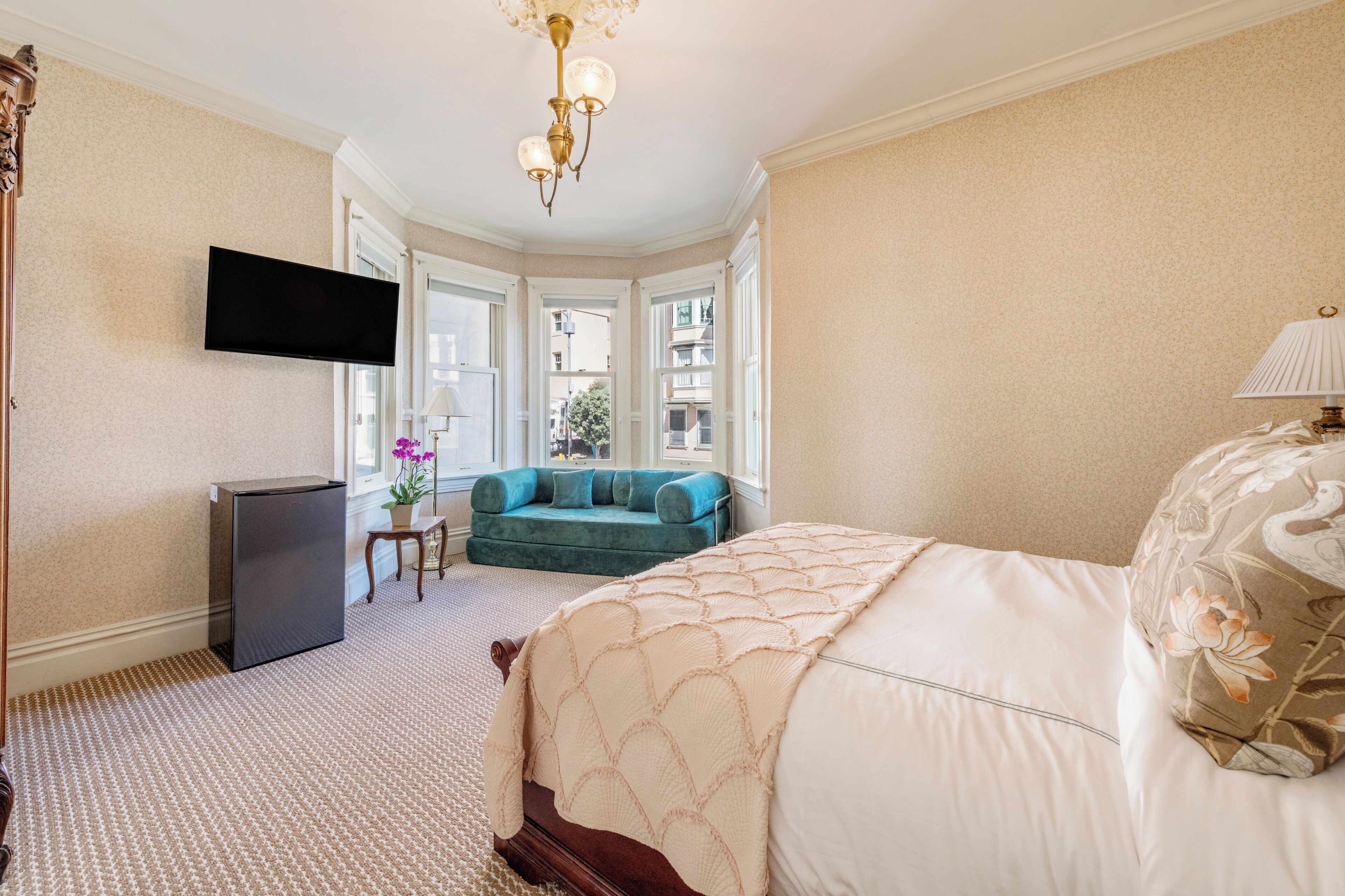 A hotel room with a bed, a television, a sofa, and a small table with a plant.