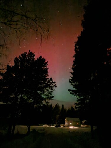 Get closer to the tranquility of a cozy little cabin at the end of the forest.