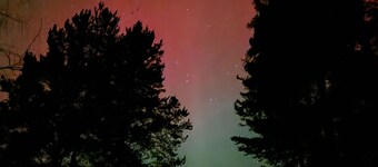 Get closer to the tranquility of a cozy little cabin at the end of the forest.