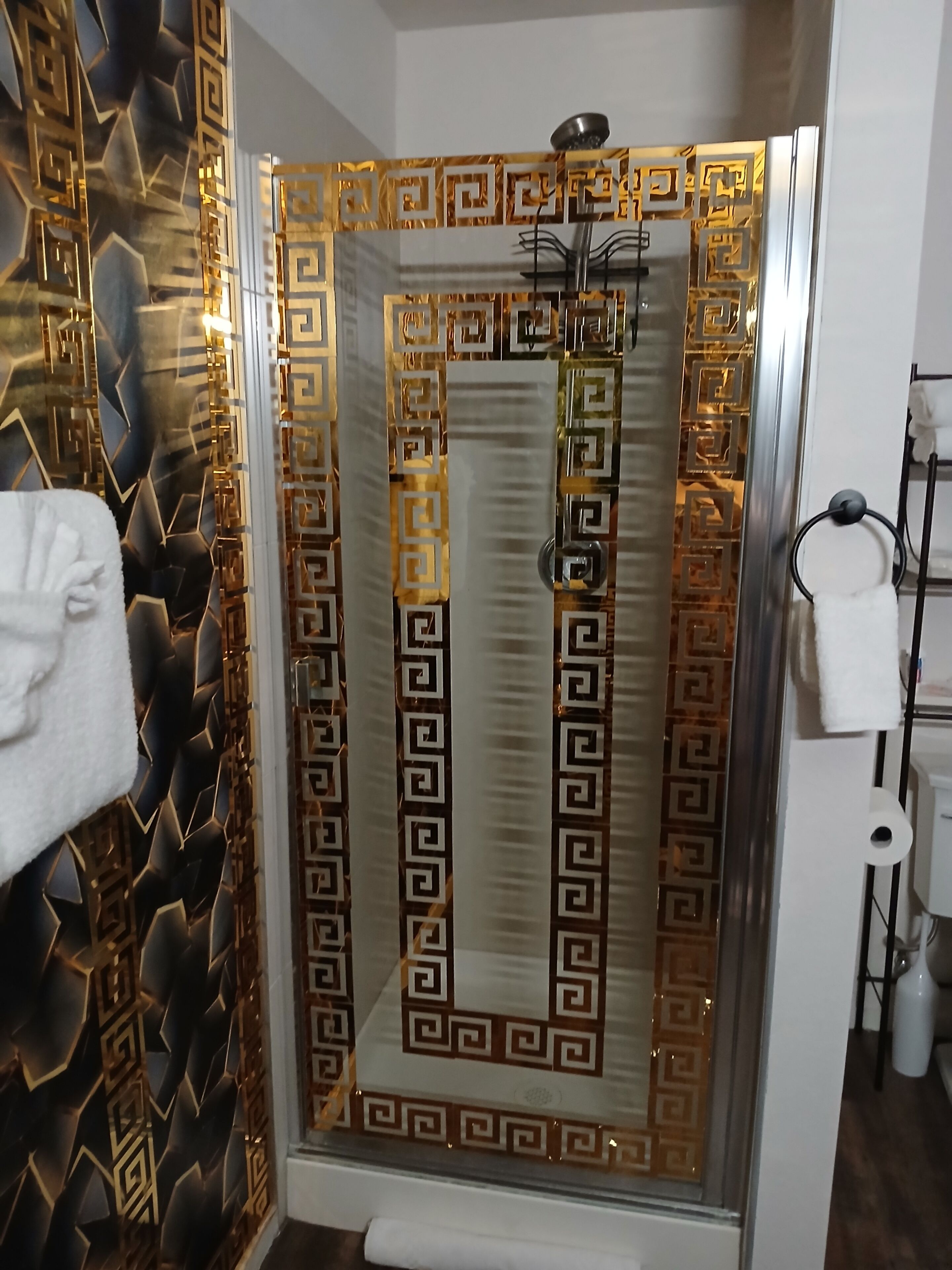 A shower with a geometric patterned door, a white towel hanging on the wall, and a toilet paper holder.