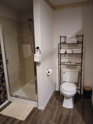 Shower, hair dryer, towels, soap - Cozy & Peaceful One-Bedroom, One-Bathroom Studio – Private (Las Vegas)