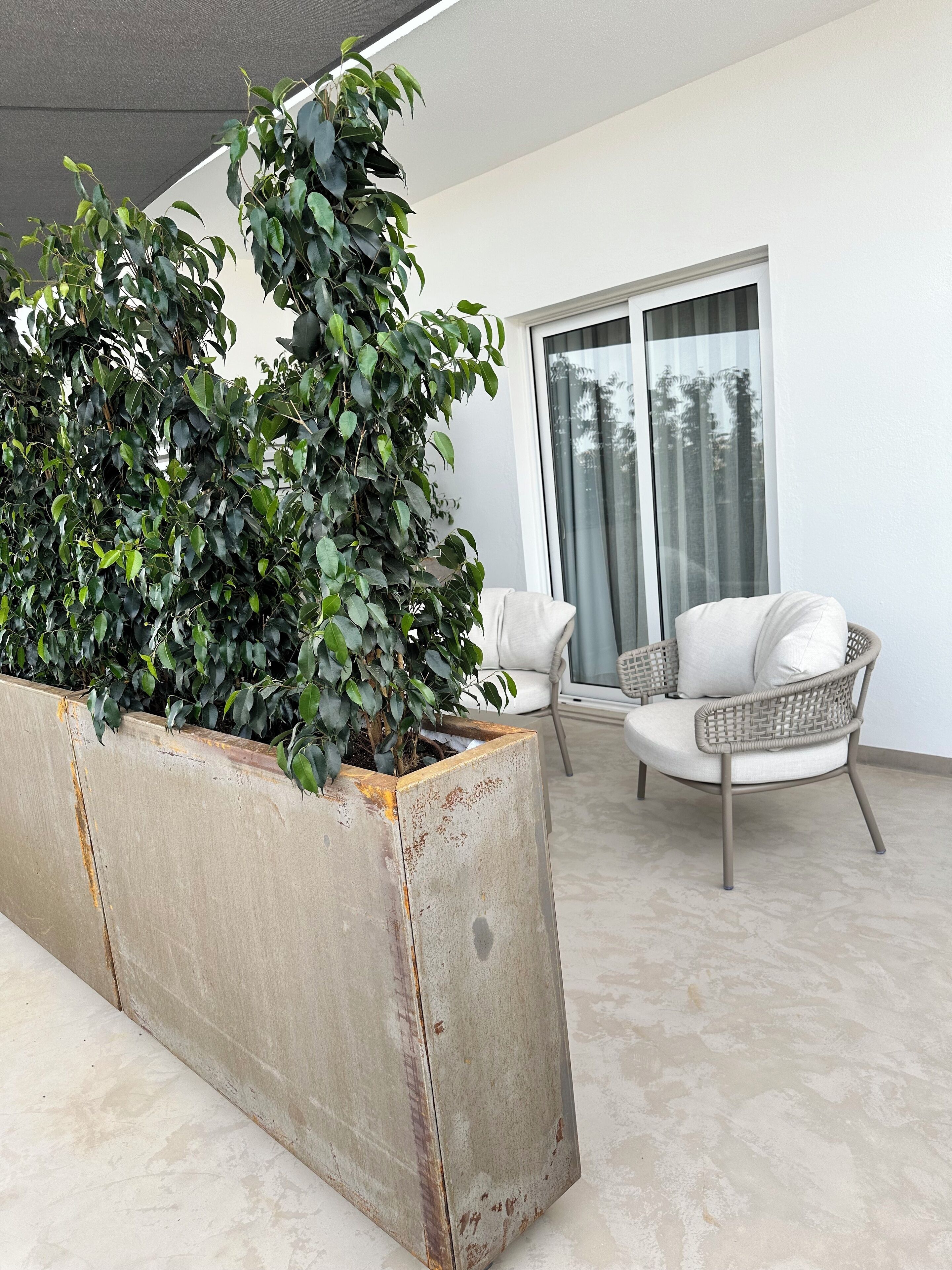 A modern outdoor seating area with a large planter box containing green plants, a wicker chair, and a large window with a view of trees.