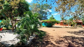 Stroll through lush gardens featuring palm trees and a dirt path leading to a charming residential building with a red roof.