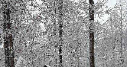 Charming cabin that has beds for 8 guests, many parking spaces, cozy fire pit