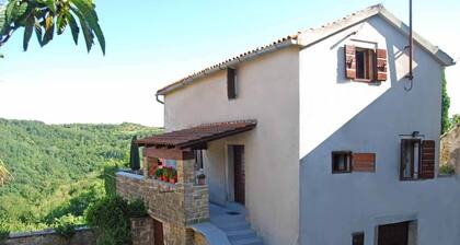 Rustic villa with breathtaking views in Istria, Croatia