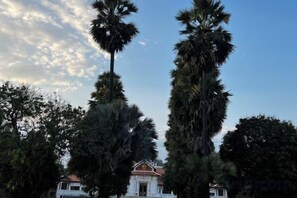 A building with a traditional architectural style, surrounded by tall palm trees. - We House Guest Hotel (Luang Prabang)