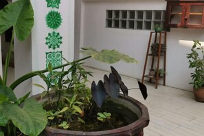 A potted plant arrangement in a courtyard with a white wall and a window. - We House Guest Hotel (Luang Prabang)