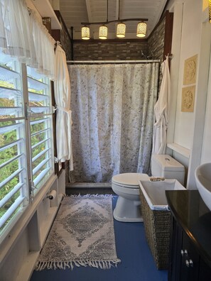 Douche, séchoir à cheveux, serviettes fournies, savon