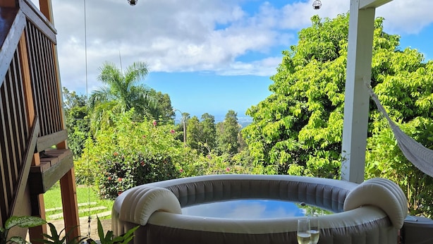 Un jacuzzi bajo un porche cubierto con vistas a exuberante vegetación y una hamaca.