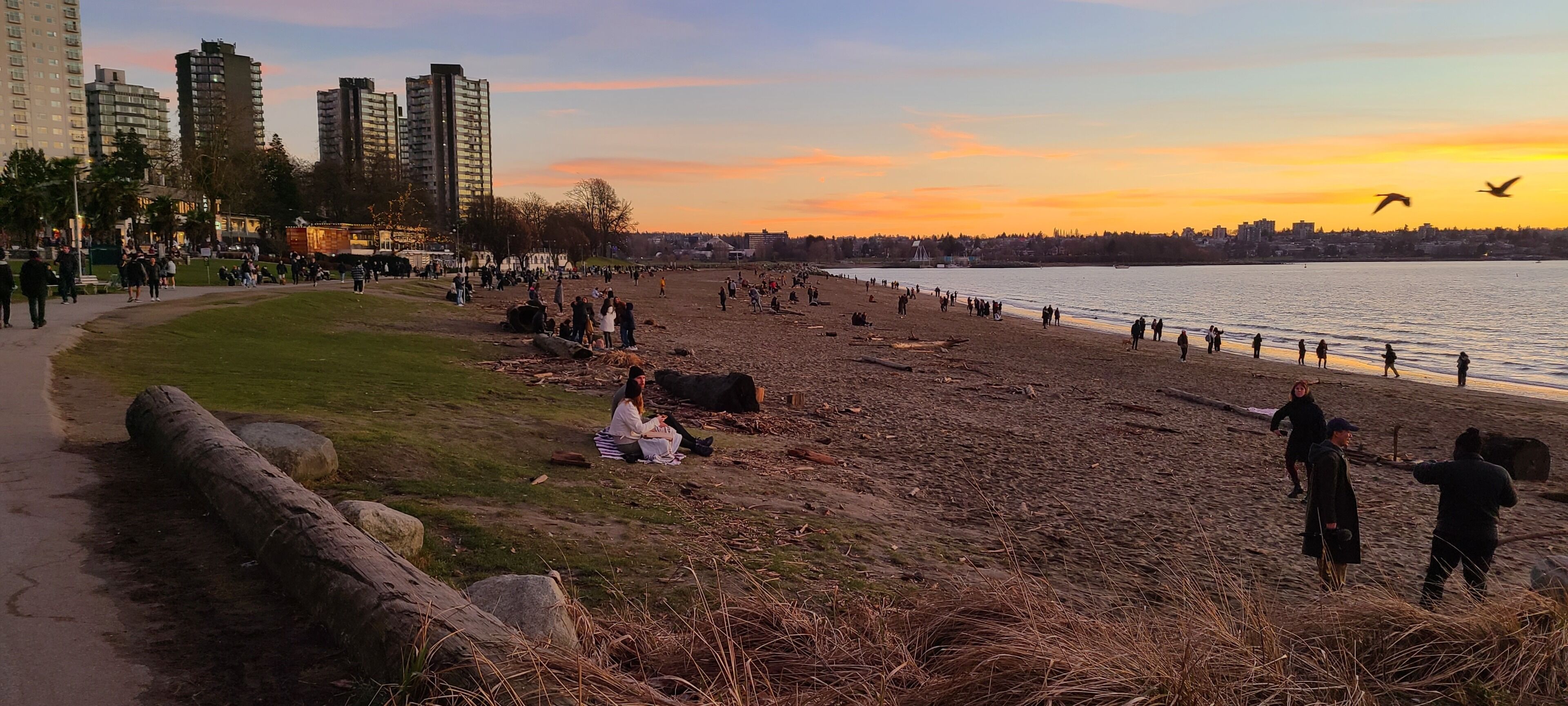 A riverside park with people walking and sitting on the grass, a path along the river, and tall buildings in the background.