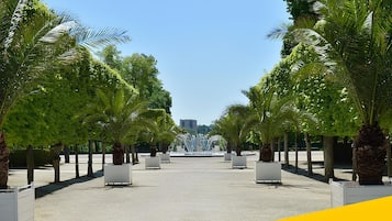Imagen general