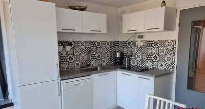 Air-conditioned apartment with sea-view balcony. Pets allowed